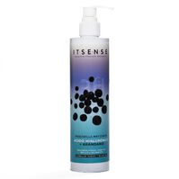 Mascarilla Matizante Arandanos  300ml-207132 1